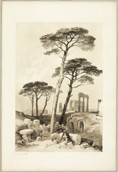 Stone Pines, fra The Park and the Forest av James Duffield Harding