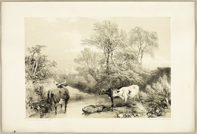 Torn, Pil, Bøk og Bjørk, fra Parken og Skogen av James Duffield Harding