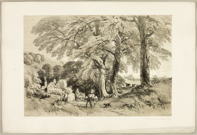 Wych Elm, fra The Park and the Forest av James Duffield Harding