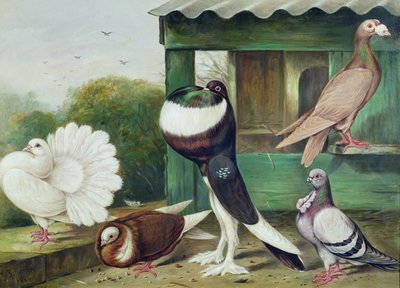 Ukjent bilde av James E. Bourhill