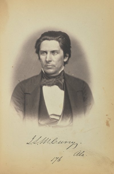  av James Earle McClees