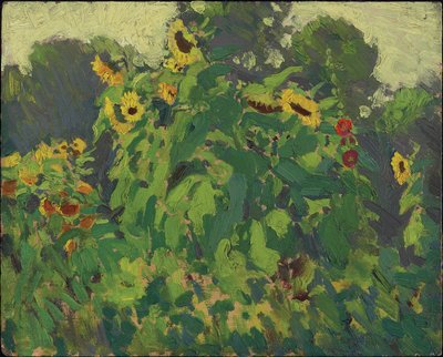 Solsikker, Thornhill, 1916 (olje på kompositt tremasseplate) av James Edward Hervey Macdonald