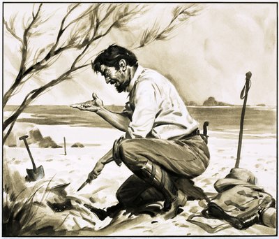  av James Edwin McConnell