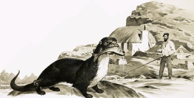  av James Edwin McConnell