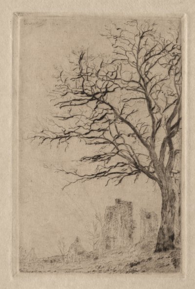 Akasie av James Ensor