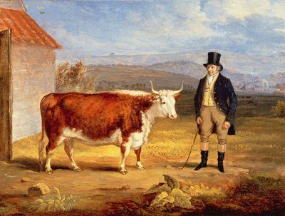 Mr James Hodges og hans to år gamle Hereford kvige, ca. 1843 av James Flewitt Mullock