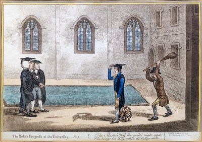 Plate 3 fra 