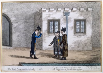 Plate 4 fra 