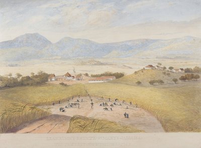 Llanrumny Estate, St. Mary's, Jamaica av James Hakewill