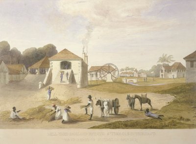 Mill Yard, Holland Estate, St. Thomas i øst av James Hakewill