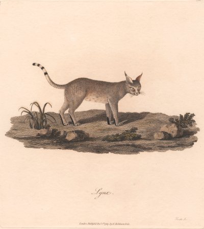 Gaupe av James Heath