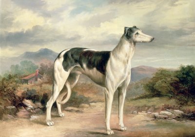 En greyhound i et kupert landskap av James Henry Beard