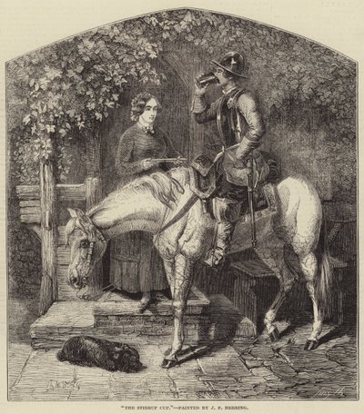Bøylekoppen av James Herring