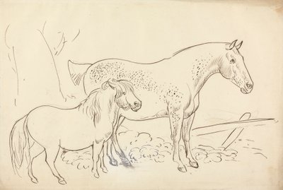Hest og ponni av James Howe