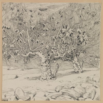 Fikentre, Hinnoms dal, illustrasjon fra Vår Herre Jesu Kristi liv (blekk på papir) av James Jacques Joseph Tissot