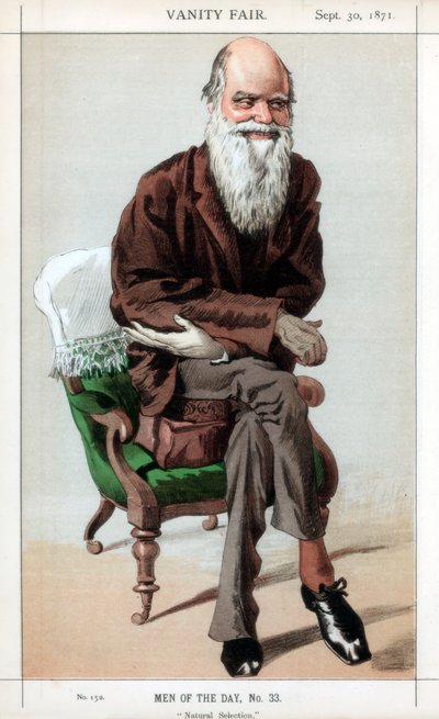 Naturlig utvalg, 1871. av James Jacques Joseph Tissot