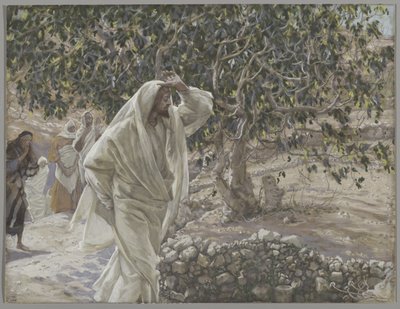 The Cursed Fig Tree, illustrasjon fra The Life of Our Lord Jesus Christ, 1886-94 (wc over grafitt på papir) av James Jacques Joseph Tissot
