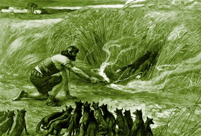 Samson and the foxes av J James Tissot - Bibelen av James Jacques Joseph after Tissot