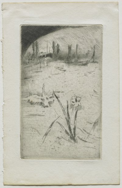 Svane og iris av James McNeill Whistler