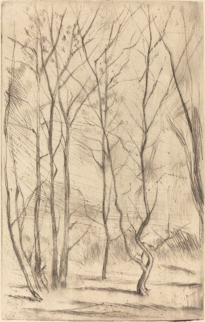 Damskogen av James Abbott McNeill Whistler