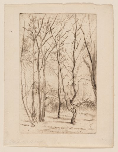 Damskogen av James Abbott McNeill Whistler