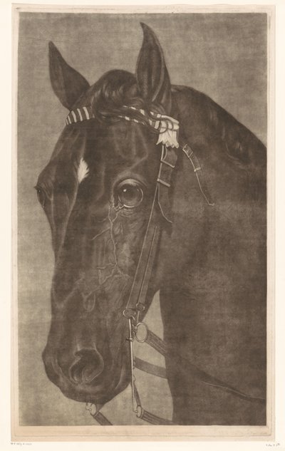 Hodet til en hest med hodelag av James Newman Hodges