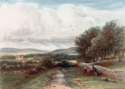 quot;Bolton Castlequot; (fargelitografi) av James Orrock