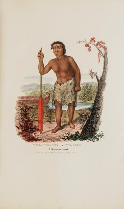  av James Otto Lewis