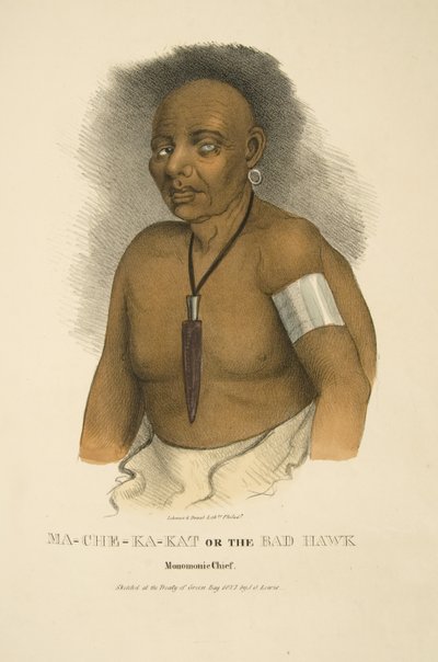 Mama-ch-ka-cut og den dårlige hauken av James Otto Lewis