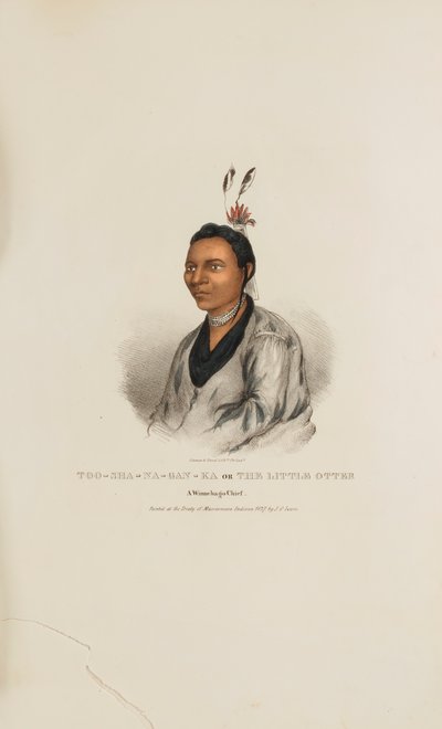  av James Otto Lewis
