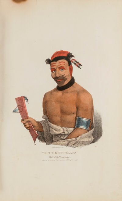  av James Otto Lewis