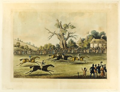 Saint Albans Grand Steeple Chase av James Pollard