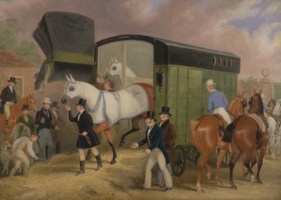 The Derby Pets: The Arrival av James Pollard