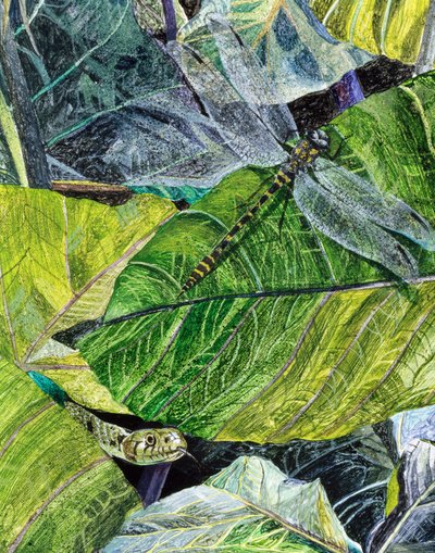 Water Snake and Dragon-fly, 1971 av James Reeve