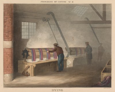 Progress of Cotton: # 11 - Døende av James Richard Barfoot