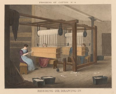 Progress of Cotton: #9 - Reeding eller inntrekking av James Richard Barfoot