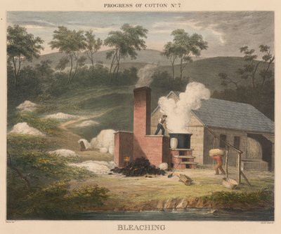 Fremdrift av bomull, #7: Bleking av James Richard Barfoot