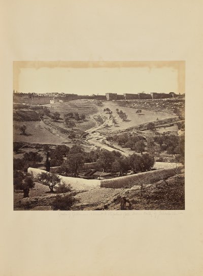  av James Robertson