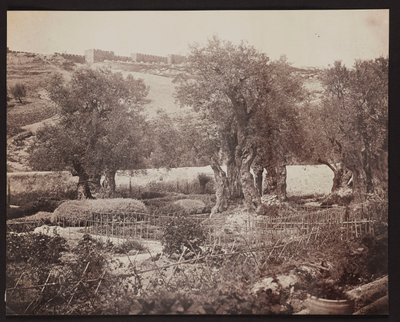 Getsemane [Jerusalem. Oljeberget] av James Robertson