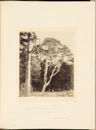  av James Sinclair, 14th Earl of Caithness