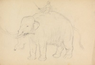 Elefant med rytter av James Sowerby