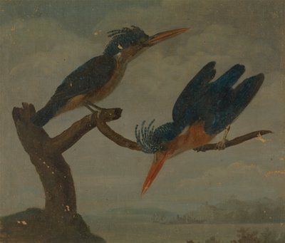 To isfugler ved siden av en innsjø av James Sowerby