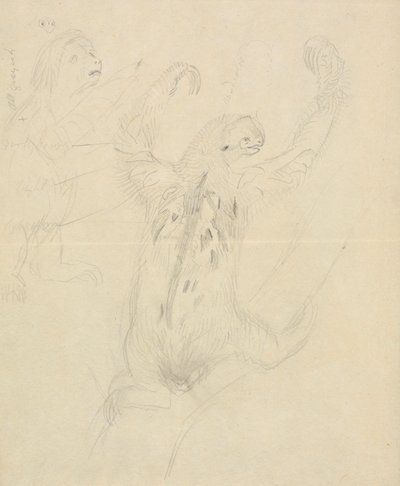 To dovendyr av James Sowerby