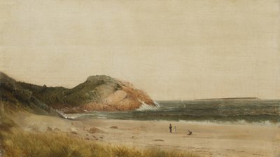 Strandscene (olje på lerret) av James Suydam