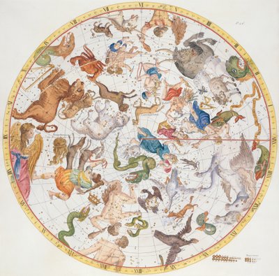 Plate 26 fra 