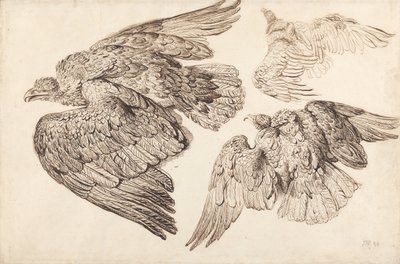  av James Ward