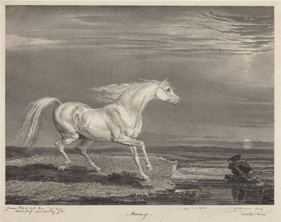 Marengo av James Ward