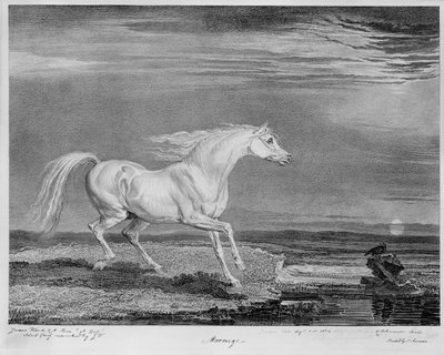 ‘Marengo’, favorittladeren til Napoleon I, ca. 1815 av James Ward