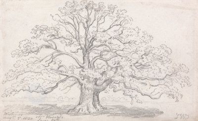 Mr. Howard's Large Oak, 5. august 1820 av James Ward