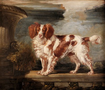 Portrett av Dash, en favoritt spaniel, eiendommen til Lady Frances Vane-Tempest av James Ward